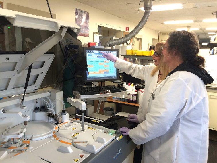 Two scientists reviewing data on computer monitor.