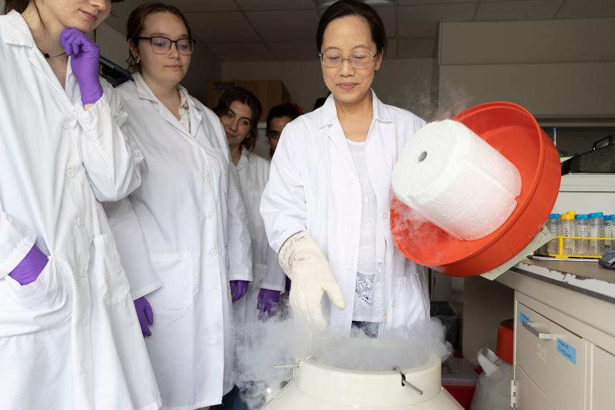 Neuroscientists conducting an experiment