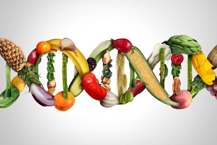Various fruits and vegetables arranged in a chain formation