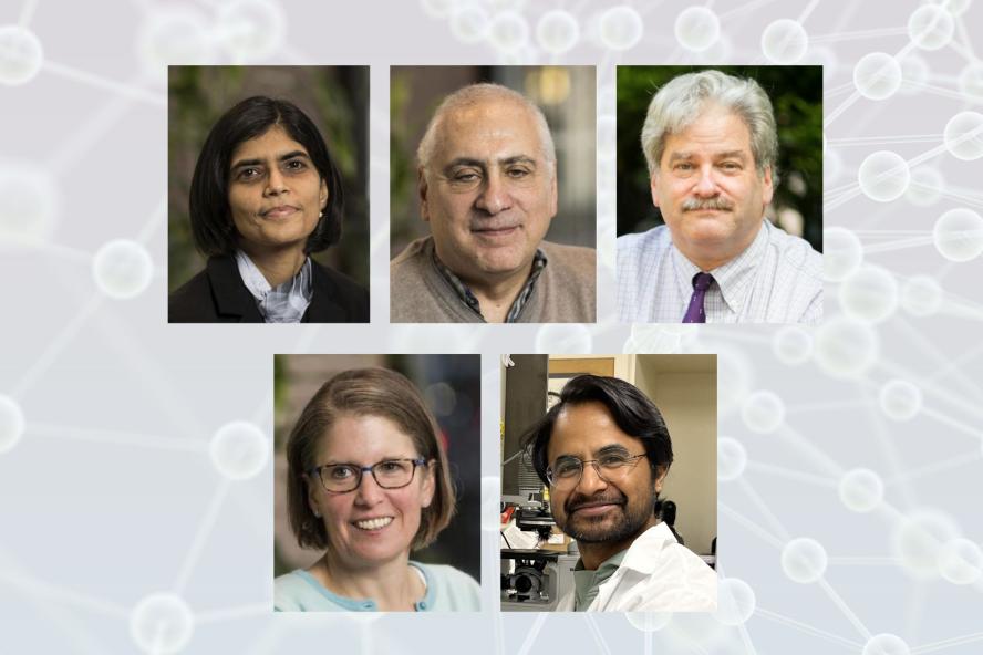 Top row: Sai Das, PhD; Andrew Greenberg, MD; Ed Saltzman, MD; Bottom row: Kyla Shea, PhD; Robin Wilson, PhD
